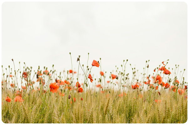 enrico-bet-IicyiaPYGGI-unsplash 5